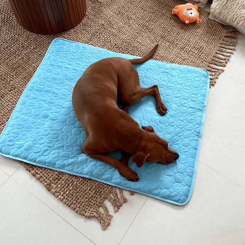 🌞Summer Hot Sale Buy 1 Get 1 Free🧊Premium Cooling Mat For Pet