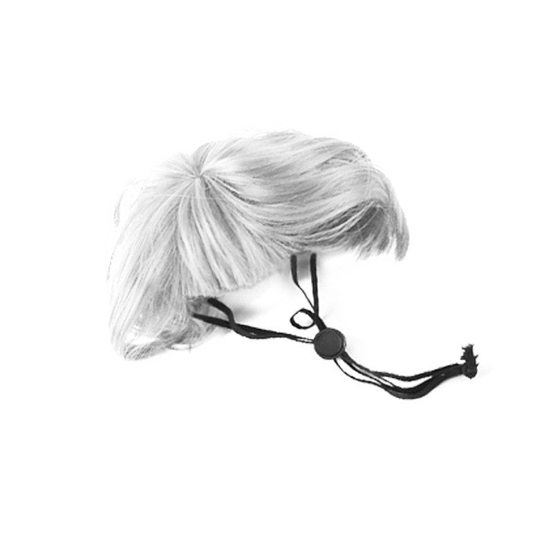 🐶🐱Cute Short Hair Wig Pet Headband, Funny Pet Wig Hair Accessories for Dogs & Cats