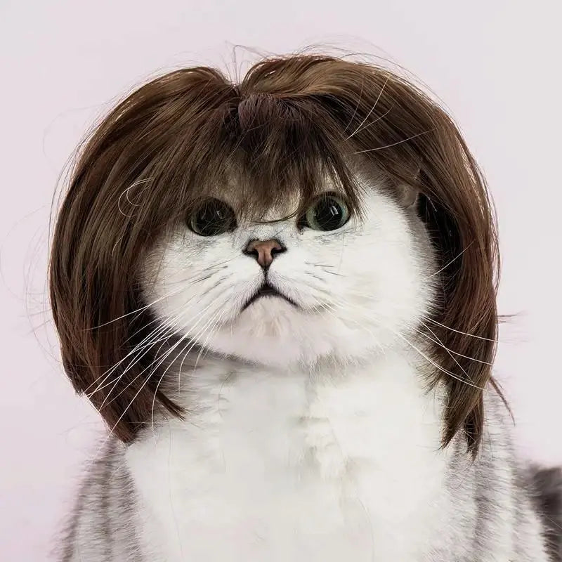 🐶🐱Cute Short Hair Wig Pet Headband, Funny Pet Wig Hair Accessories for Dogs & Cats